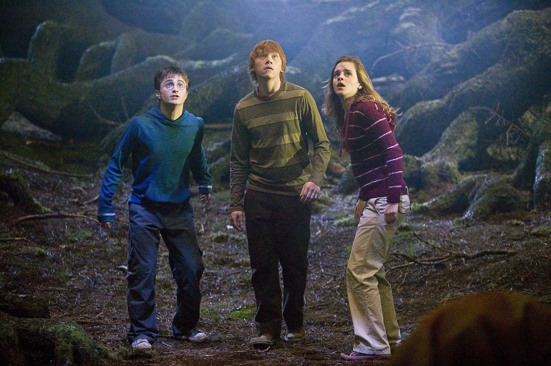 Список 15 фильмов, похожих на «гарри поттера» (2002-2011)
