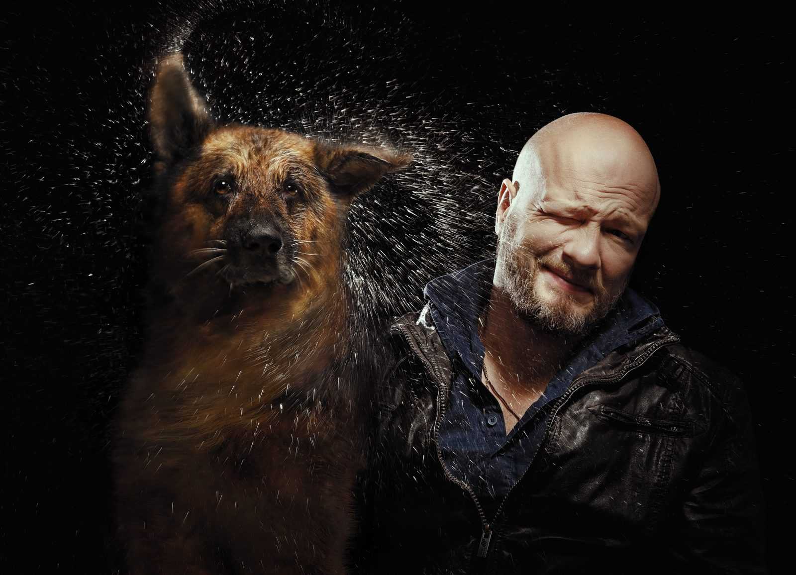 Сериал «пес» 5 сезон: содержание серий