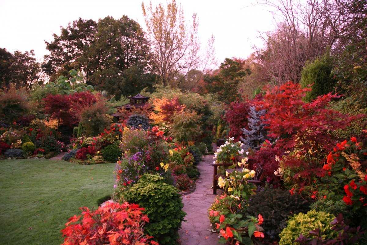 Сады осенью jardins en automne