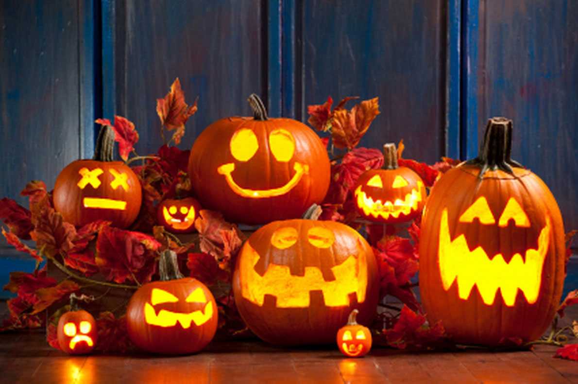 Очень страшное кино: 10 лучших фильмов для тех, кто любит хэллоуин 👻 | thegirl