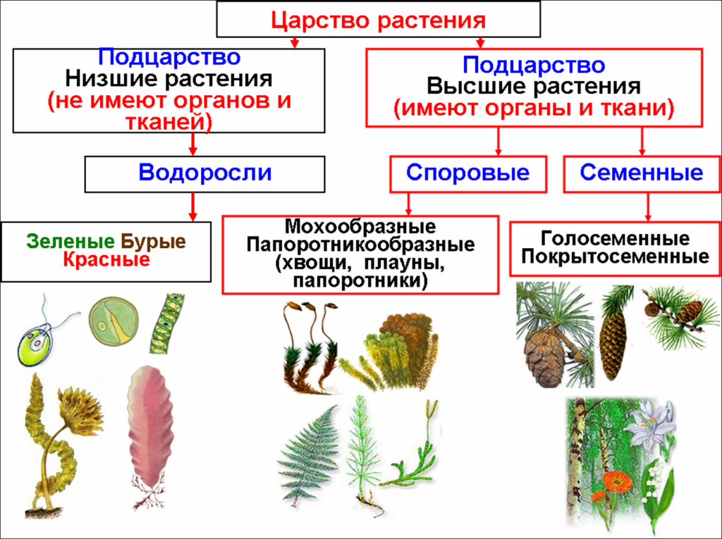 Корейские фильмы про зомби – 10 лучших новинок