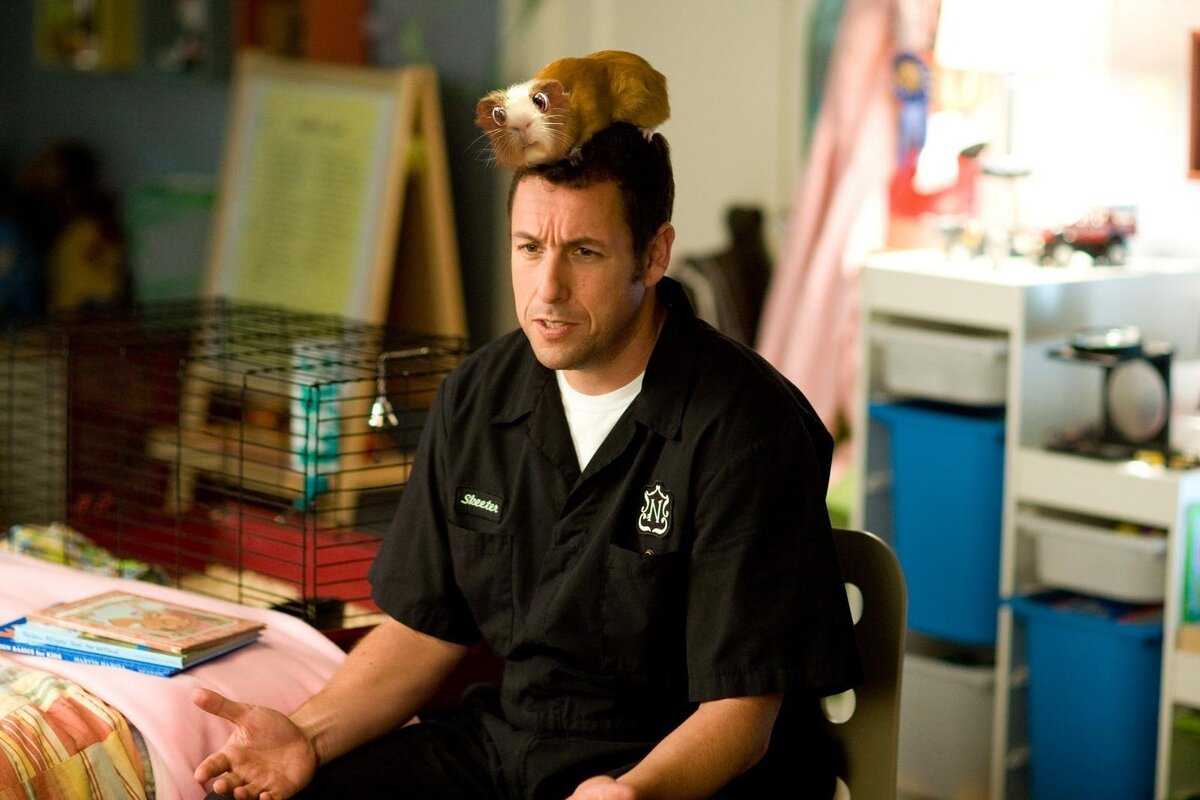 Адам сэндлер (adam sandler) – биография, фото, личная жизнь, жена, дети, рост и вес 2020