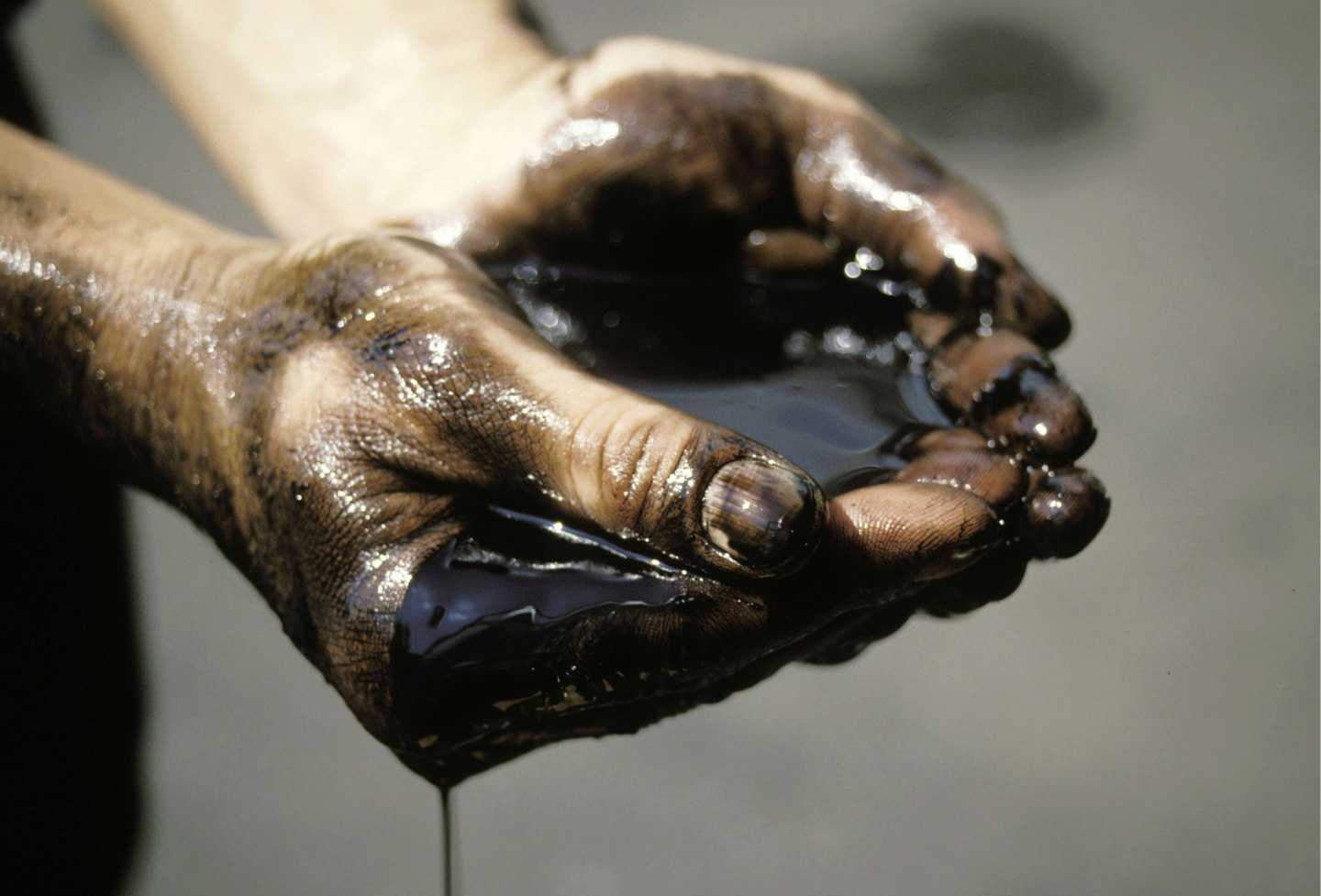 Черное золото: 11 художественных фильмов о нефти