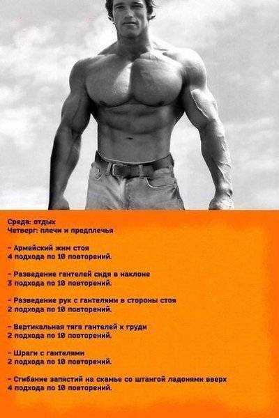 Арнольд шварценеггер сейчас: чем занимается и как выглядит «терминатор» - ™📟 начало 2000-х ностальгия