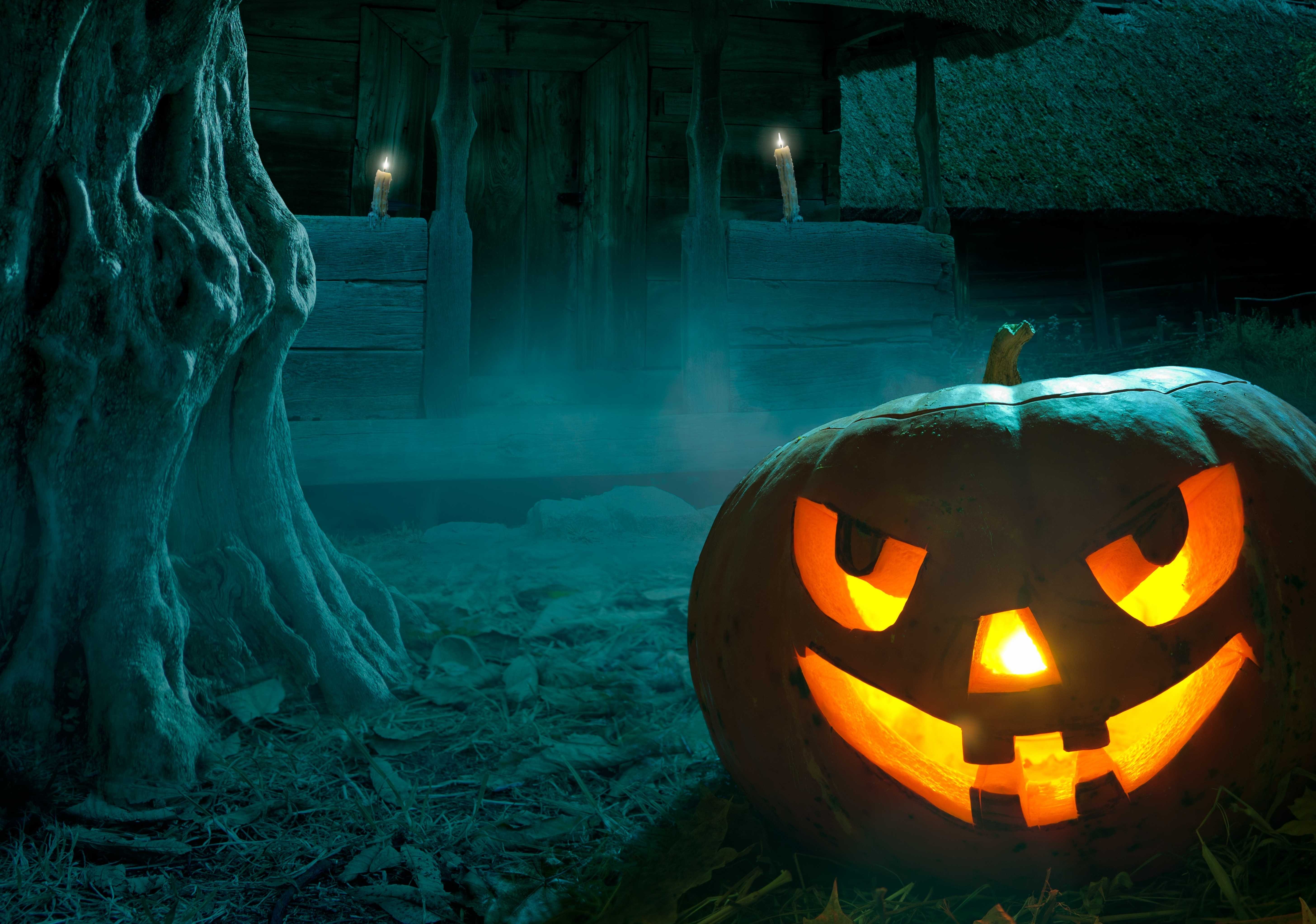 Очень страшное кино: 10 лучших фильмов для тех, кто любит хэллоуин 👻