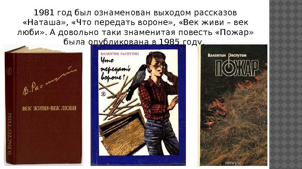 Люби их всех краткое содержание