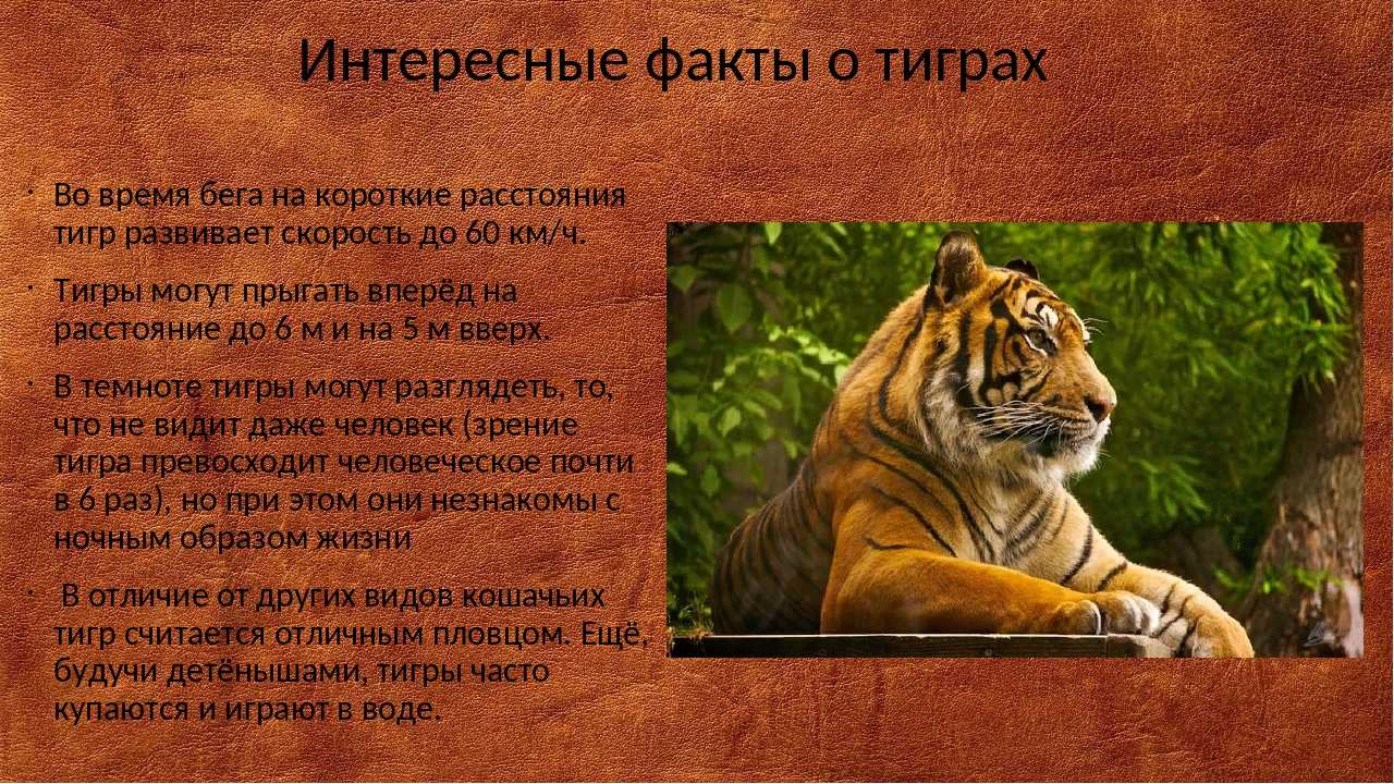 Нет маленьких ролей, есть маленькие актеры