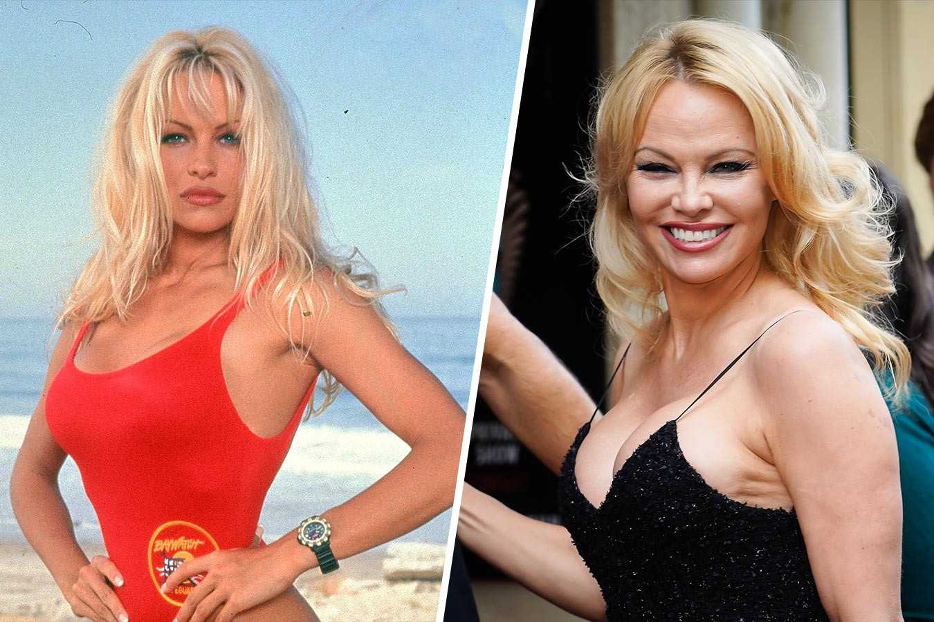 28 лет спустя: как сейчас выглядят главные актёры сериала «спасатели малибу» и факты о новом фильме