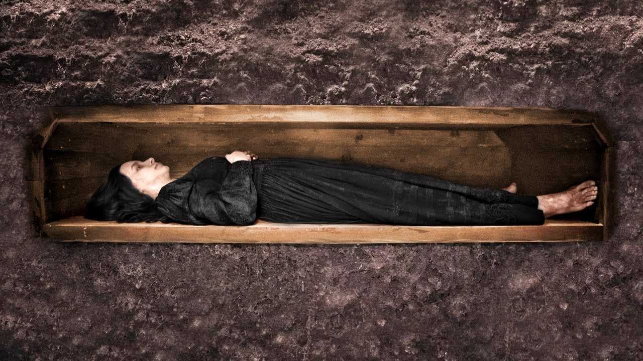 27 лучших фильмов про морг: выбор по рейтингу и отзывам кинокритиков