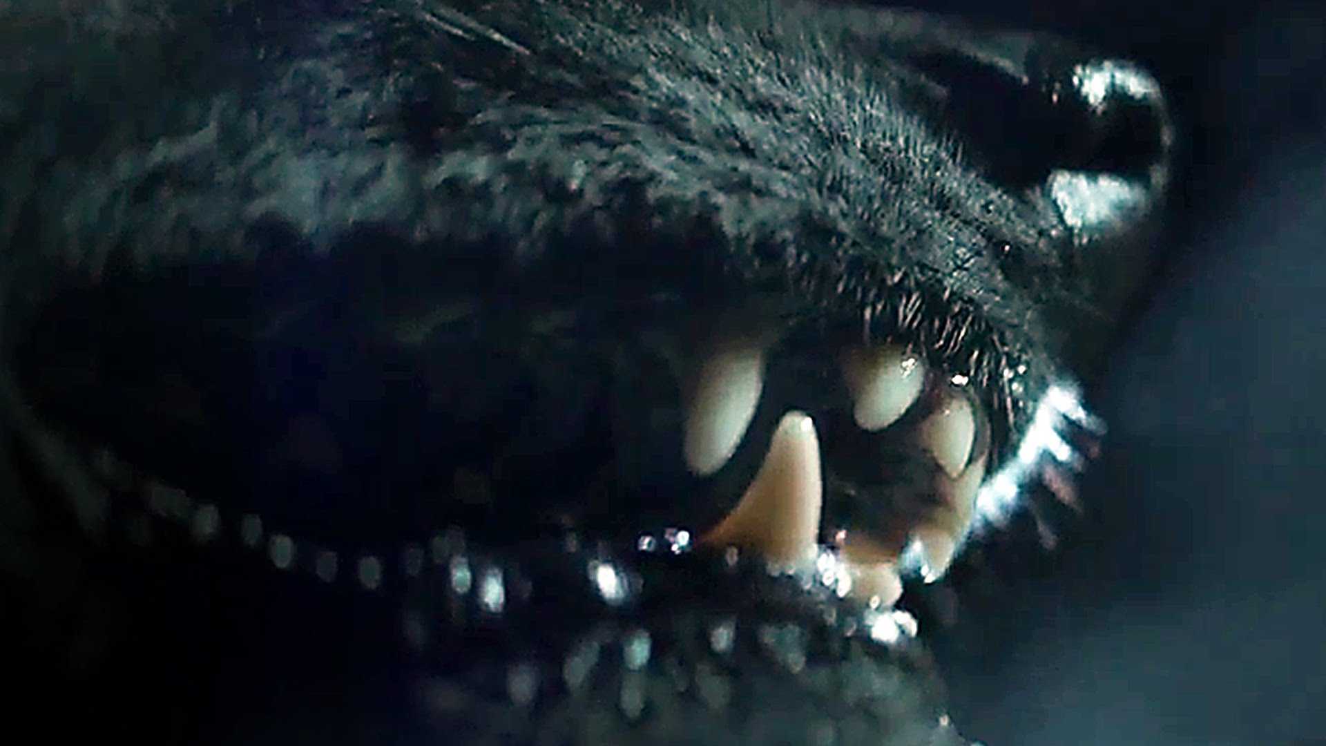 Хищники | avp world wiki | fandom