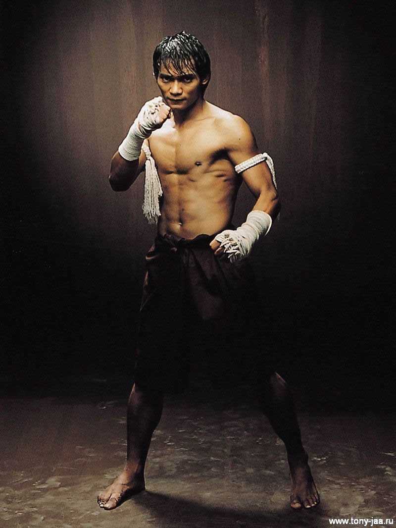 Biography and profile of tony jaa
