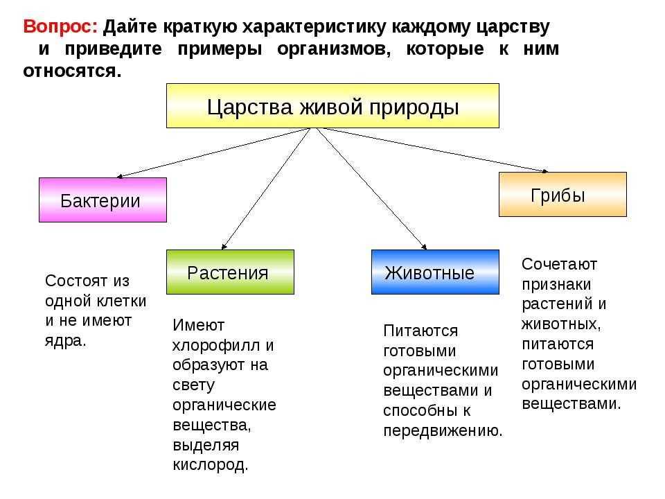 Корейские фильмы про зомби – 10 лучших новинок
