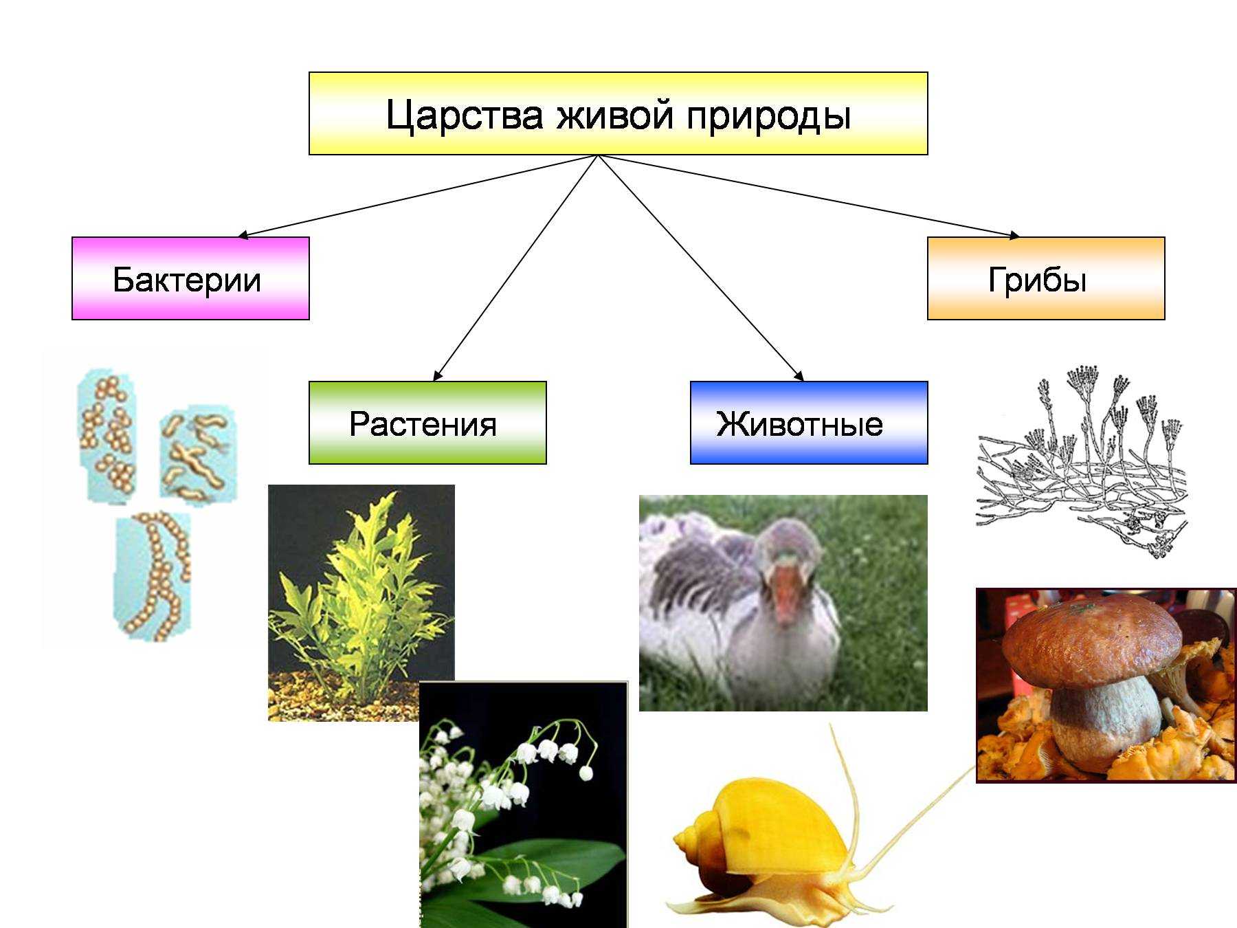 10 лучших корейских фильмов про зомби-апокалипсис