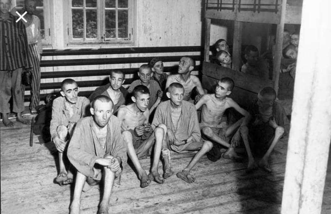 Фильмы про евреев в войну: список 100 лучших