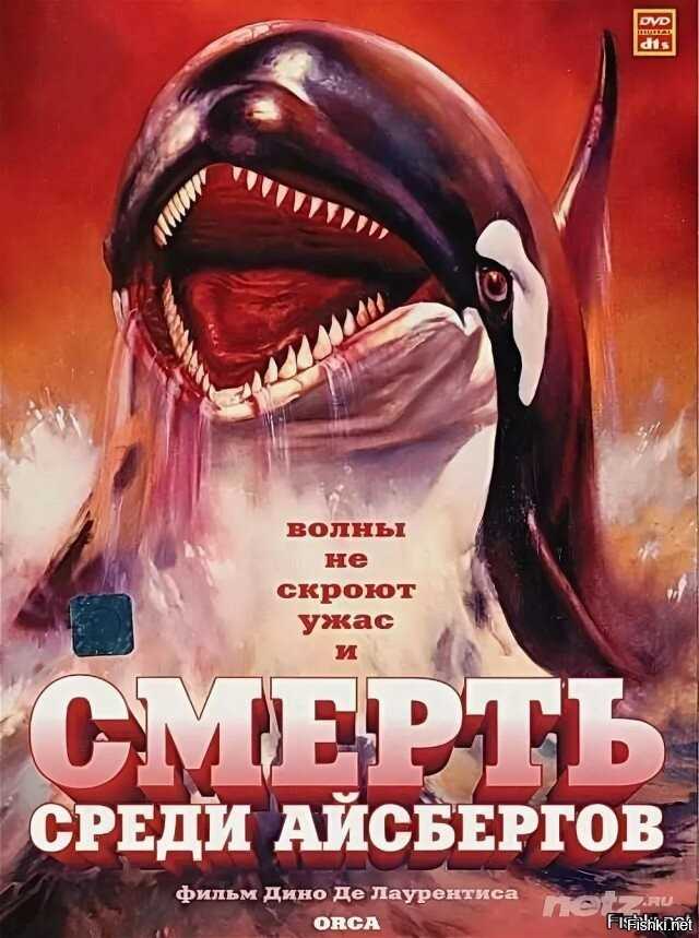 Фильмы про косаток: список рейтинг