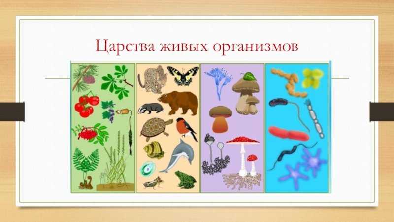 10 лучших корейских фильмов про зомби-апокалипсис