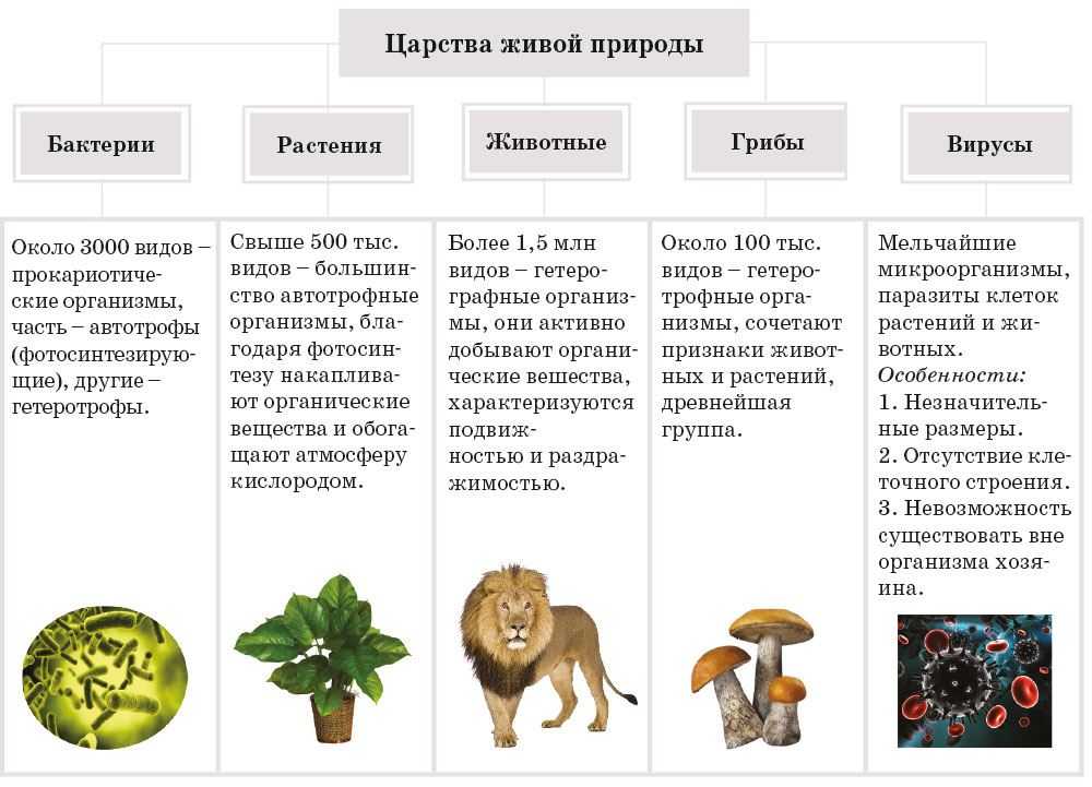 Корейские фильмы про зомби – 10 лучших новинок
